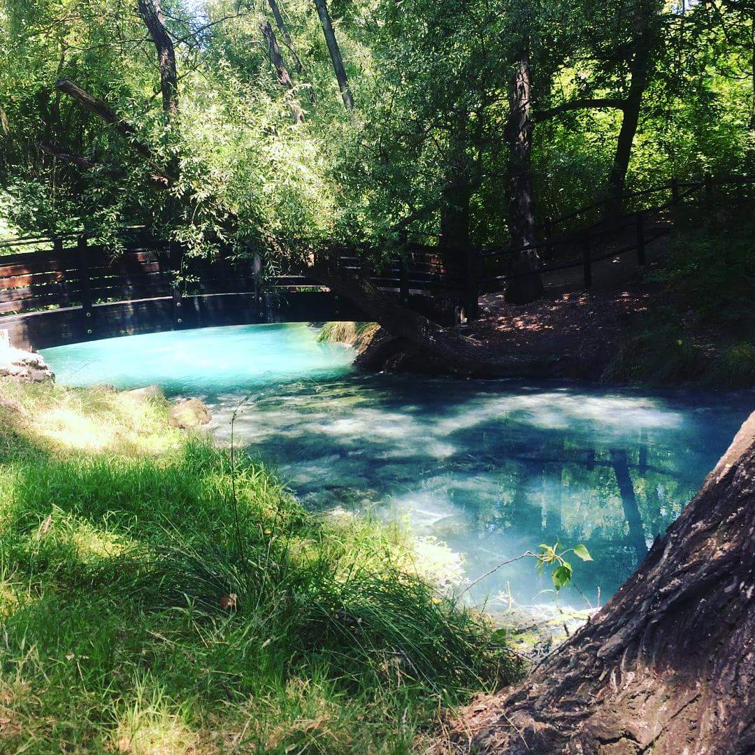 FB_IMG_1517391916658